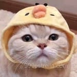 Avatar de Ernesto Bautista